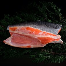 画像1: 【冷凍】定塩銀鮭フィレ 10kg FROZEN SALTED COHO SALMON 10kg (1)