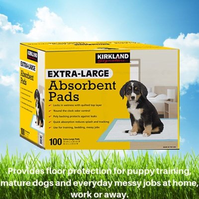 画像2: カークランドシグネチャー XL ペットシーツ 100枚 Kirkland Signature Extra Large Absorbent Pads 76cm x 58cm x 100 Sheets