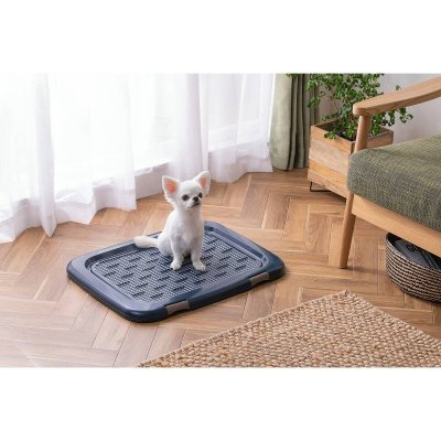 画像3: フチ漏れにくいトレーニングペットトレー レギュラーサイズ 2個セット Training Pet Tray Regular Size 2 Tray Set