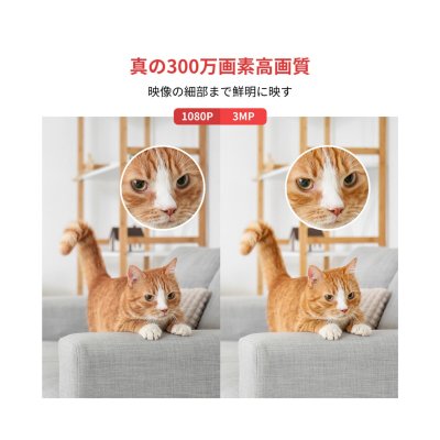 画像1: スイッチボット 見守りカメラ 3MP ２個セット W3101100 SwitchBot Pan/Tilt Cam 3MP 2pcs Bundle W3101100