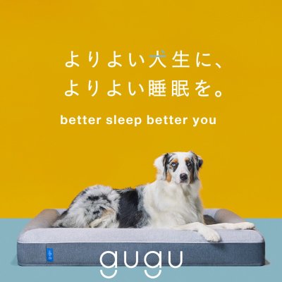 画像3: グーグー ドギー ペットベッド L サイズ gugu Doggie Pet Bed Large