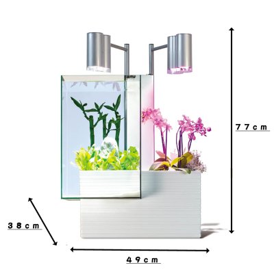 画像1: ブリオ brio35 水槽 ホワイト 50Hz / 60Hz (東日本用 / 西日本用) 2種 Brio35 Aquarium White Color 50Hz / 60Hz (for East & West Japan) 2 Types