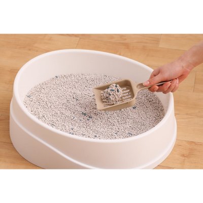 画像2: クリーンサンド 無香料猫砂 5L x 4袋 Clean Sand Odorless Cat Litter 5L x 4 Bags