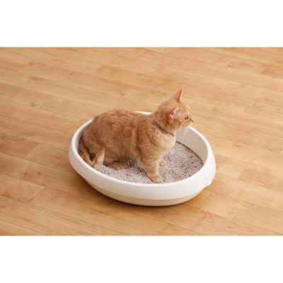 画像1: クリーンサンド 無香料猫砂 5L x 4袋 Clean Sand Odorless Cat Litter 5L x 4 Bags