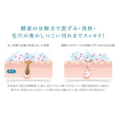 画像3: SIRTFL (サートフル) ブライト酵素洗顔パウダー 30包 (医薬部外品) SIRTFL Bright Enzyme Face-Wash Powder 30packs (Quasi-drugs)