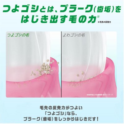 画像2: GUM デンタルブラシ　12本組 GUM DENTAL BRUSH 12P