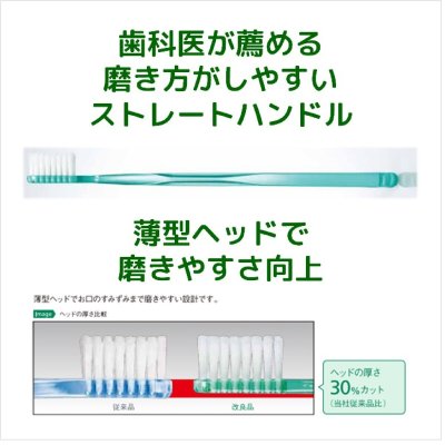 画像1: GUM デンタルブラシ　12本組 GUM DENTAL BRUSH 12P