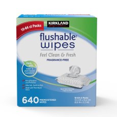 画像1: カークランドシグネチャー 流せるウェットワイプ 64 枚 x 10 Kirkland Signature Flushable Wipe 64 Count x 10 (1)