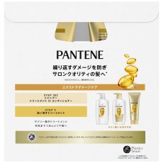 画像2: パンテーン トリートメント 300g x 2本 Pantene Treatment 300g x 2 Pack (2)