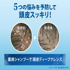 画像3: ｈ＆ｓ ５ｉｎ１ クールクレンズ シャンプー ２０００ｇ h&s 5in1 Cool Cleanse Shampoo 2000g (3)