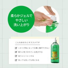 画像3: インティマC デリケートゾーン ウォッシュジェル カモミールの香り 500mL intimate wash gel Camomile 500mL (3)