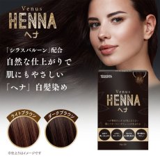 画像1: ウ゛ィーナスヘナ 50g x 2 x 2 Venus HENNA Hair Color 50g x 2 x 2 (1)