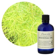 画像1: フレーバーライフ エッセンシャルオイル ティートリー精油 100ml Flavor Life Essential Oil Teatree 100ml (1)