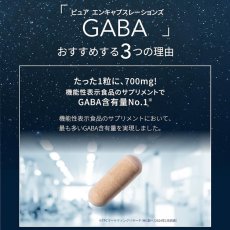 画像4: ピュア GABA 700mg 120粒 Pure GABA 120 Capsules (4)