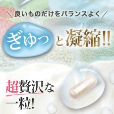 画像3: スリリン エス 乳酸菌 30粒 x 3袋 (90日分) ＜機能性表示食品＞ SLILIN S PROBIOTIC 30 Tablets x 3 Packs   (3)