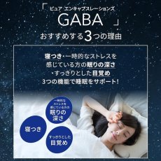 画像3: ピュア GABA 700mg 120粒 Pure GABA 120 Capsules (3)