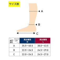 画像3: ドクターショール フライトソックス Dr. Scholl Flight Socks (3)