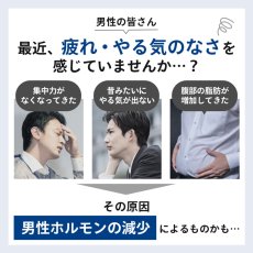 画像4: 毛髪ホルモン量測定キット〜テストステロン〜（男性更年期セルフチェックキット） TESTOSTERONE TEST KIT (4)