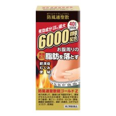 画像1: 【第2類医薬品】防風通聖散GOLD-Z 600錠(40日分)　セルフメディケーション税制対象商品 Fat Burning Tablet 600 tablets (1)