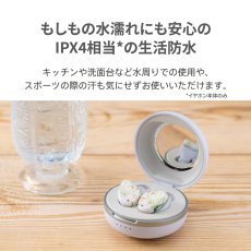 画像4: AVIOT 完全ワイヤレスイヤホン TE-D01I2 AVIOT True Wireless Earphone TE-D01I2 (4)