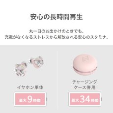 画像3: AVIOT 完全ワイヤレスイヤホン TE-D01I2 AVIOT True Wireless Earphone TE-D01I2 (3)