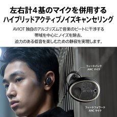 画像2: AVIOT 完全ワイヤレスイヤホン TE-BD11tR AVIOT True Wireless Earphones TE-BD11tR (2)