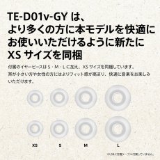 画像5: AVIOT 完全ワイヤレスイヤホン TE-D01V-GY EC AVIOT True Wireless Earphones TE-D01V-GY EC (5)