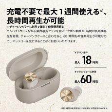 画像3: AVIOT 完全ワイヤレスイヤホン TE-D01V-GY EC AVIOT True Wireless Earphones TE-D01V-GY EC (3)