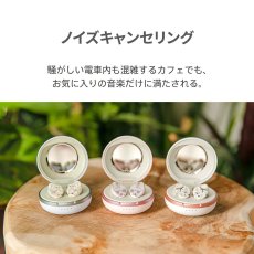 画像2: AVIOT 完全ワイヤレスイヤホン TE-D01I2 AVIOT True Wireless Earphone TE-D01I2 (2)