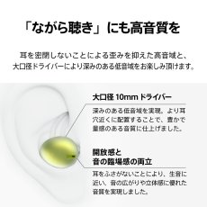 画像4: AVIOT 完全ワイヤレスイヤホン TE-M1 AVIOT True Wireless Earphones TE-M1 (4)