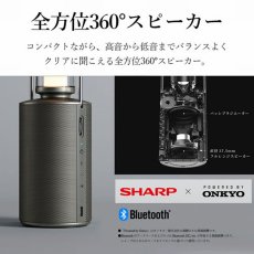 画像2: シャープ スピーカー ランタン DL-FS01L Sharp Speaker Lantern DL-FS01L (2)