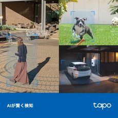 画像3: TP-Link (ティーピーリンク) 屋外パンチルトセキュリティWi-Fiカメラ Tapo C520WS TP-Link Outdoor Pan/ Tilt Security Wi-Fi Camera C520WS (3)