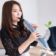 画像4: ローランド 電子管楽器 エアロフォン・ミニ　AE-01 Roland Electric Aerophone Mini AE-01 (4)