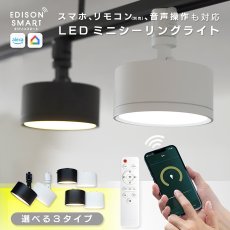 画像2: Edison Smart（エジソンスマート）ミニシーリングライト Edison Smart mini Ceiling Light (2)