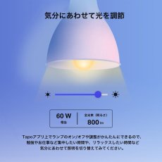 画像3: TP-Link マルチカラー対応 スマートLEDランプ L530E TP-Link Smart Wi-Fi Light Bulb, Multicolor Tapo L530E (3)