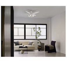 画像3: 大光電機 LEDシーリングファン 〜10畳 4枚羽 / 6灯 DAIKO DENKI LED Ceiling Fan ~10 Tatami 4 Blades / 6 Lights (3)