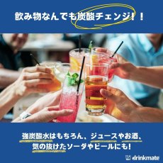 画像4: ドリンクメイト シリンダー ワンタッチ ２本セット Drinkmate Gas Cylinder One Touch 2PC (4)