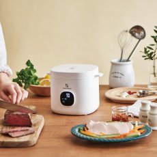 画像5: アピックス スローマイスター 低温調理器 ALC-750 APIX Slow Meister Sous Vide ALC-750 (5)