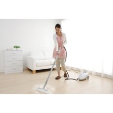 画像4: アイリスオーヤマ スチームクリーナーセット 収納容器付き STM410E18 IRIS OHYAMA Steam Cleaner Set With Box STM410E18 (4)