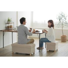 画像5: アイリスオーヤマ 脚付き収納スツールワイド ASSTW-76 IRIS OHYAMA Storage Stool with Legs, Wide ASSTW-76 (5)