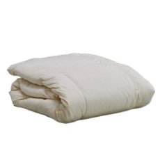 画像1: 羽毛合い掛け布団 ナチュラルグースダウン95％ クイーン Comforter for Spring, Autumn and Winter Natural Goose Down 95% Queen (1)